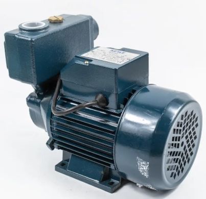 Бытовая насосная станция с гидроаккумулятором Kenle WZ 750 для подачи воды водоснабжения дома, дачи 750 Вт