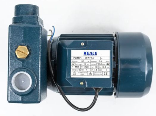 Бытовая насосная станция с гидроаккумулятором Kenle WZ 750 для подачи воды водоснабжения дома, дачи 750 Вт