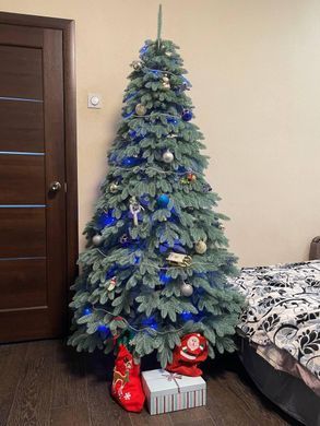 Лита ялинка Швейцарська 1.80 м. блакитна